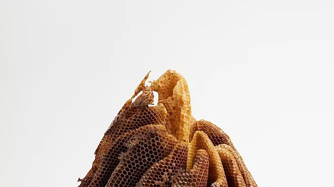 Image: Artist Talk: Hilary Berseth