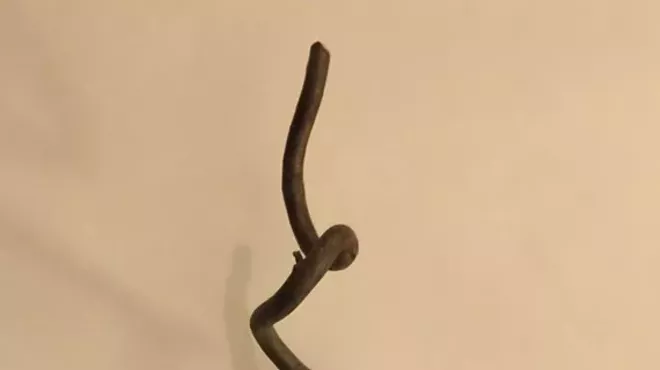 Image: 'ROOTS: Mixed Media Art Show'