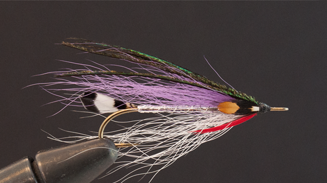 Image: Fly Fishing Festival