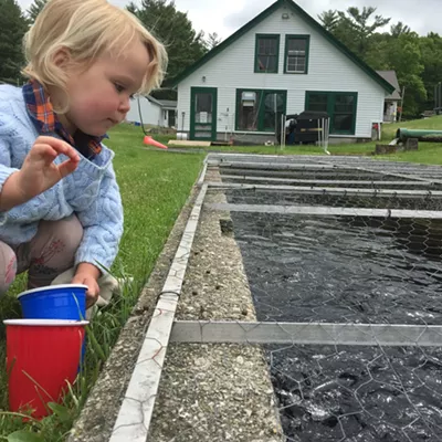 Image: Fee Hike Could Spawn Revenue to Save Salisbury Fish Hatchery