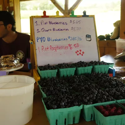 Image: Seconds of Summer: PYOB at Charlotte Berry Farm