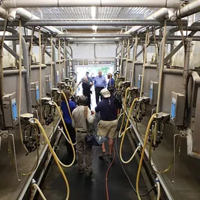Image: USDA Seeks to Close Organic Dairy Loophole