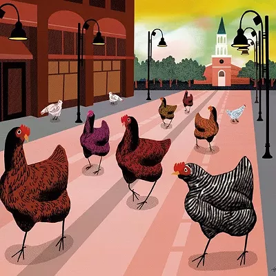 Image: Amnesty May Be Coming for Queen City Chicken Owners