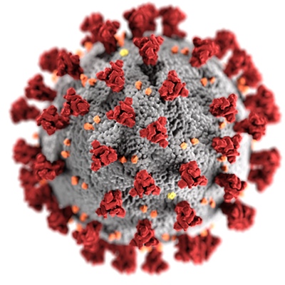 Image: Vermont Announces More Coronavirus Cases