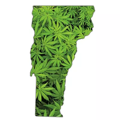 Image: Senator Unveils Vermont Marijuana Legalization Bill