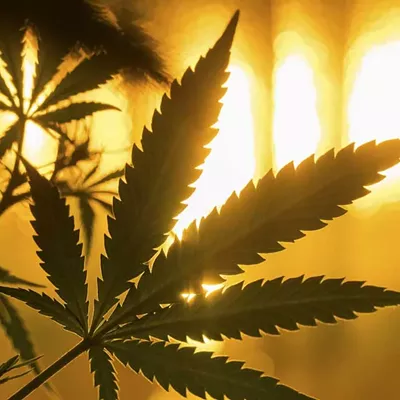Image: Marijuana Legalization Advocates Plan Ads, Increased Push