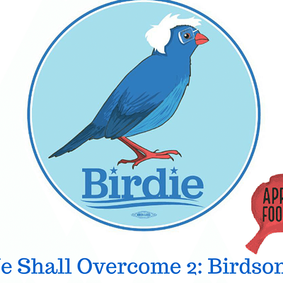 Image: Bernie Sanders to Record New Folk Album, 'Birdsongs' (April Fools!)
