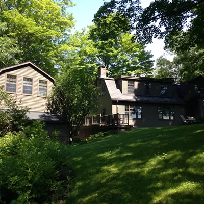 Image: Harry Bliss Buys J.D. Salinger House, Starts Cartoon Residency Program