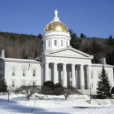 Image: Walters: Rambur Leaves Green Mountain Care Board