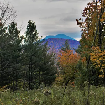Image: Richmond Residents to Vote on Funding for Proposed Town Forest