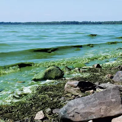 Image: Senate Votes to Keep Farmers' Waterway Cleanup Plans Private