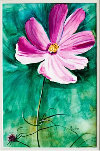 Image: Marilyn Kretser