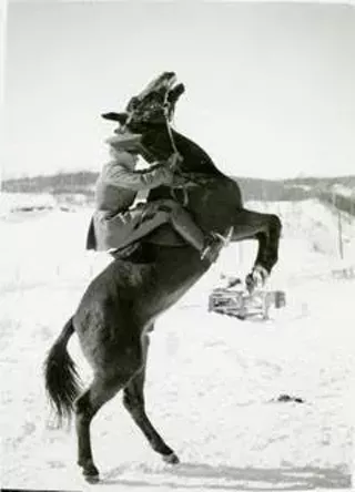 Image: 'Saddle Up! Norwich Cavalry: Training, Touring and Tactics on Horseback'