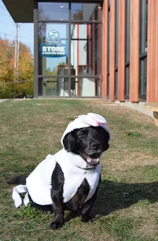 Image: Barktober Halloween Bash