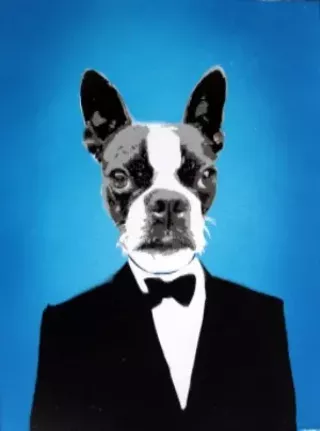 Image: DJ Barry