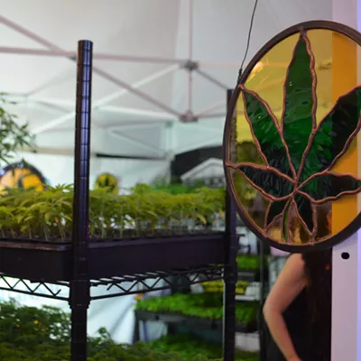 Image: Vermont Cannabis &amp; Hemp Convention