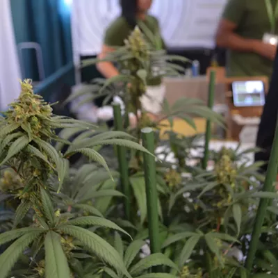 Image: Vermont Cannabis &amp; Hemp Convention