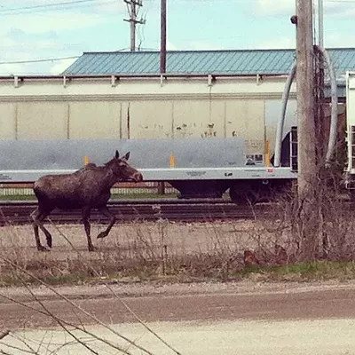 Image: Vermont Dignitary Visits Seven Days, Avoids Questions