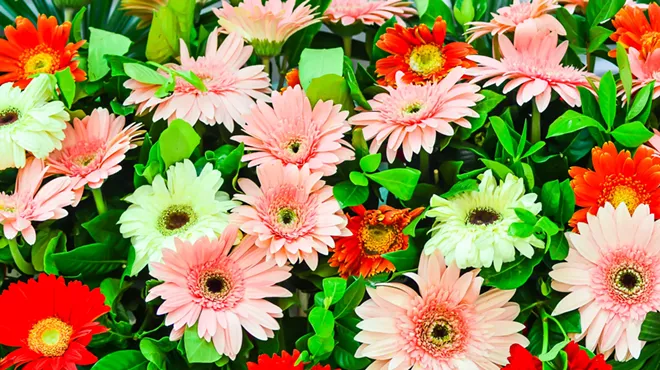Image: Vermont Flower Show