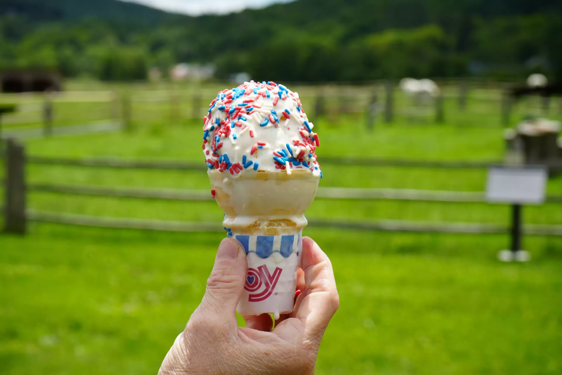 4mb_4th_on_the_farm.webp