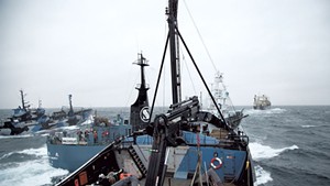 A Sea Shepherd vessel, Steve Irwin, nearly collides  with the Yushin Maru