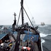 Eco-Warrior Paul Watson Brings Sea Shepherds to Vermont