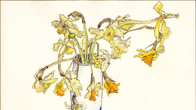 Image: Alisa Dworsky