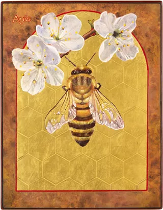 Image: Angela Manno