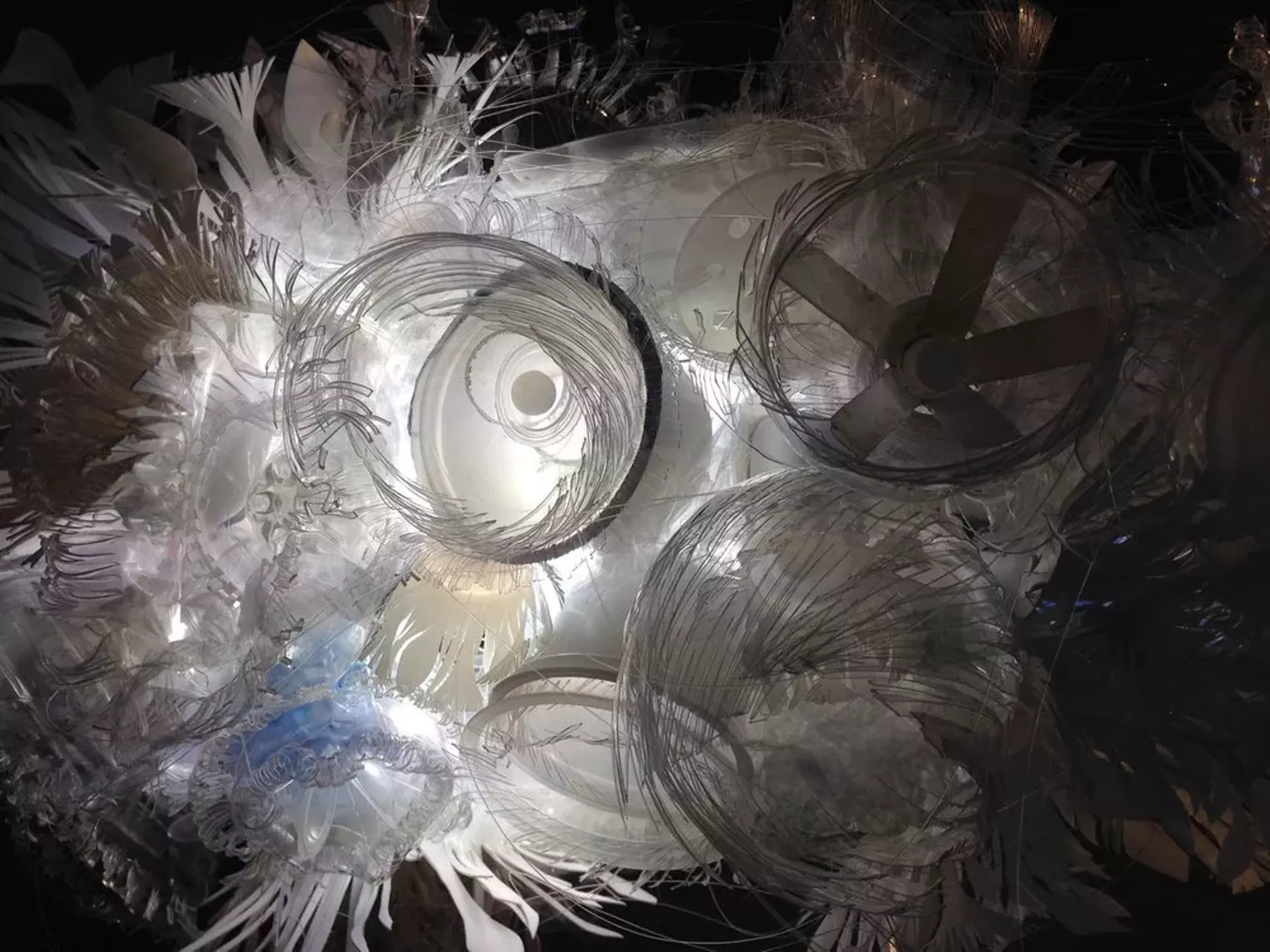 "Plastic Plankton" by Rebecca Schwarz
