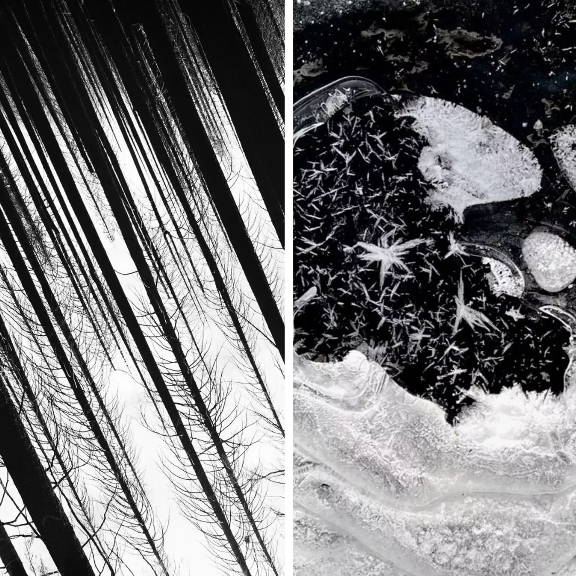Photographs by Jack Morris and Sher Kamman