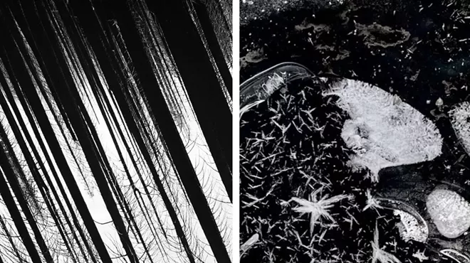 Image: Artist Talk: Sher Kamman and Jack Morris