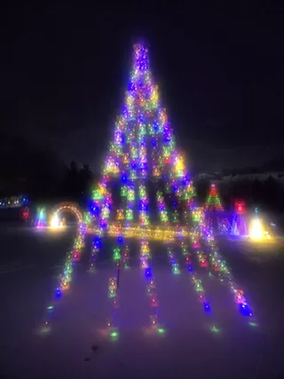Image: Beary Magical Lights Tour