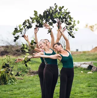 Image: Bees & Friends Dance Festival