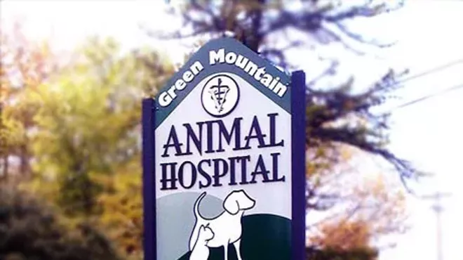 Image: Best veterinarian/animal hospital