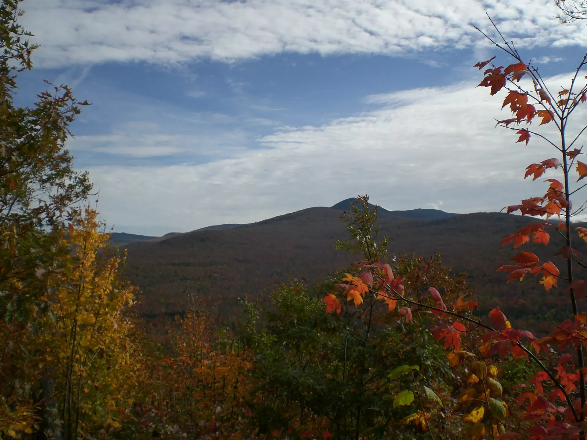viewfrombaldmtn.webp