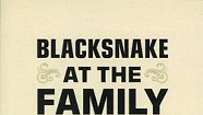 Book Review: Blacksnake at the Family Reunion by David Huddle and Vermont Exit Ramps by Neil Shepard