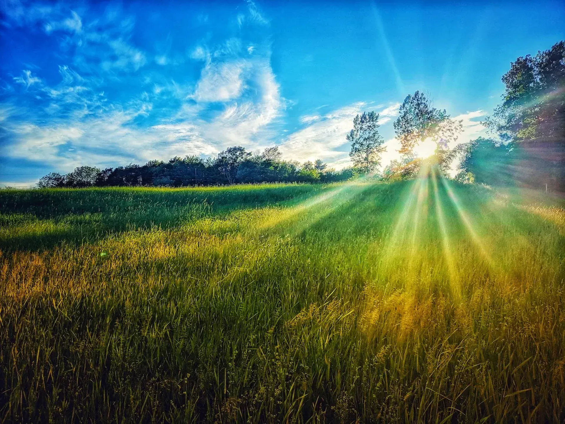 "Afternoon Sun" by Kristina Pentek