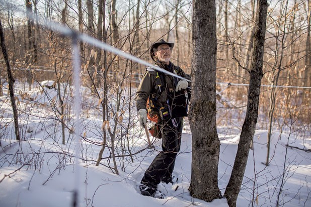 Brian Merrill of Thunder Basin Maple Works taps maple trees in Cambridge.