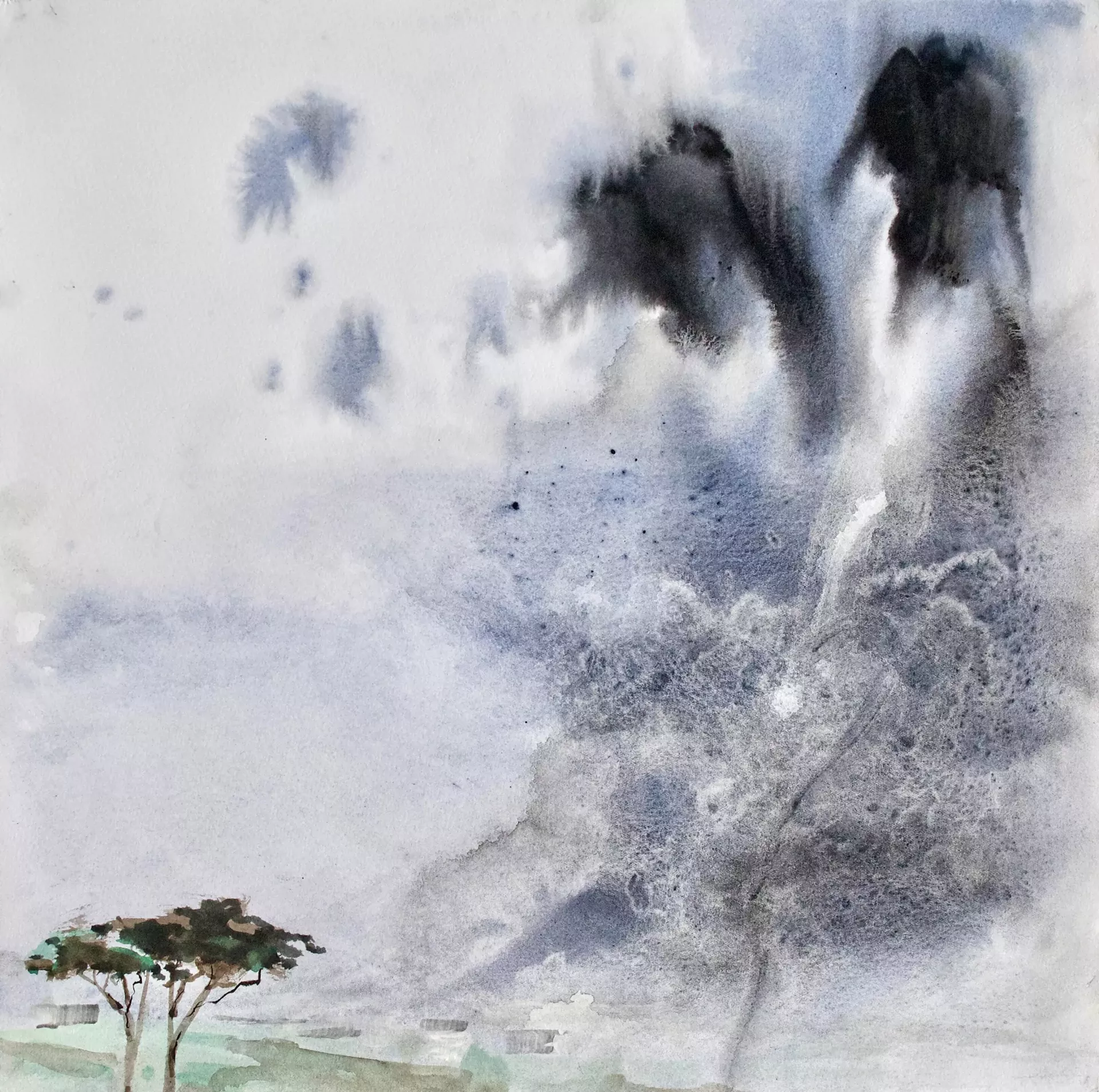 "Damp Day Noon Boom" by Bunny Harvey