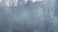 Burn Notice: Even in Vermont, a 'Prescribed' Fire Requires Perfect Timing