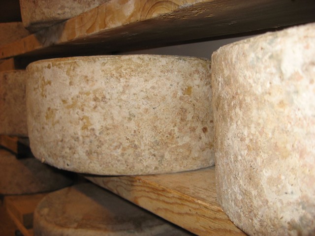 Cabot clothbound cheese aging in Vermont on wooden boards. - FLICKR/SISTERBEER