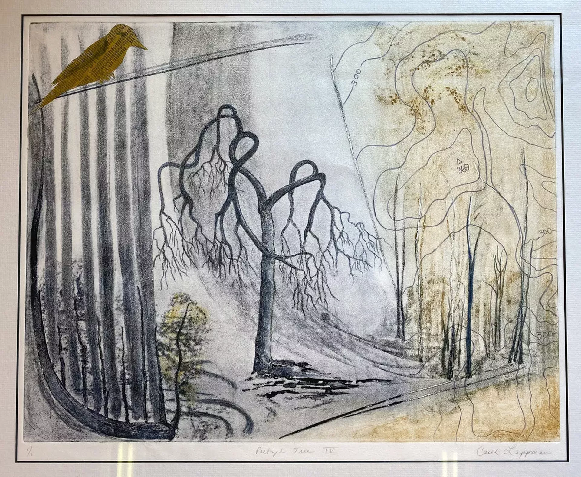 "Pretzel Tree IV" by Carol Lippman
