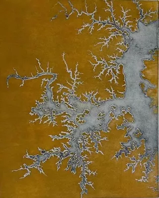 Image: Carole McNamee