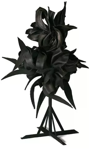 Image: Chakaia Booker