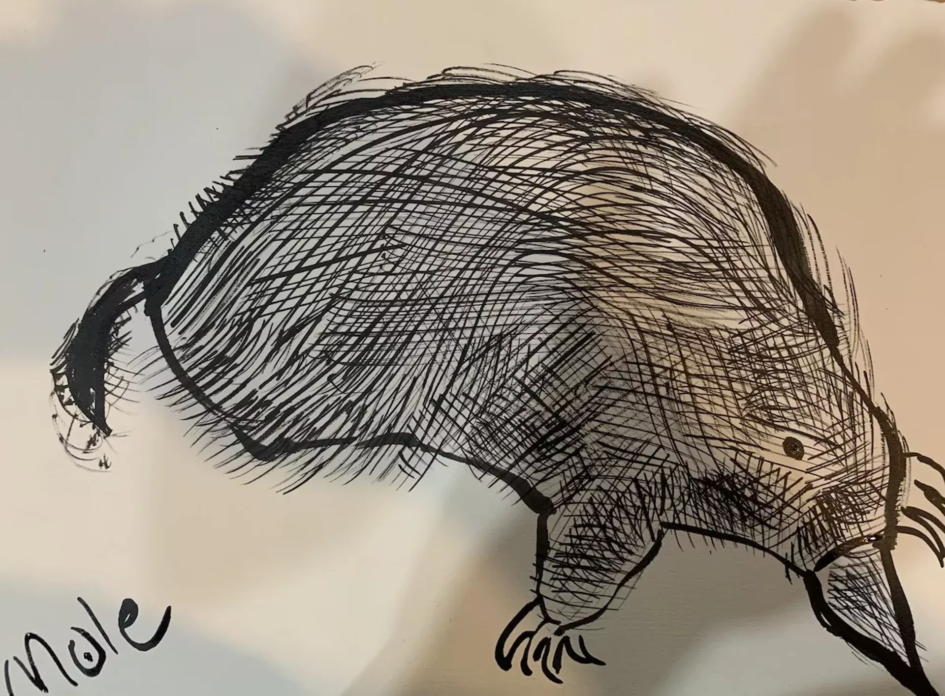 "Mole" by Charles Emers