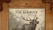 Chicky Stoltz, 'Camp Recording #2 the Roebuck'
