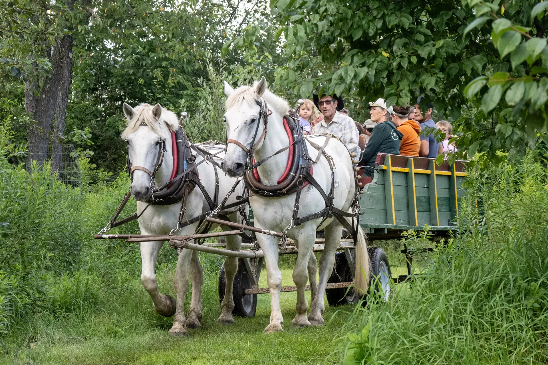 Paul Ruta and his team from Black Horse Farm