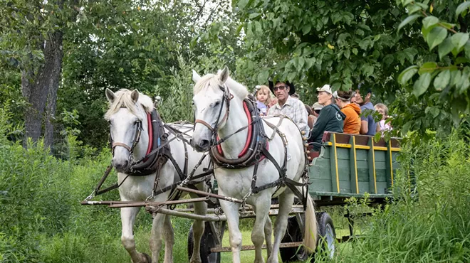 Image: Community Farm & Food Celebration