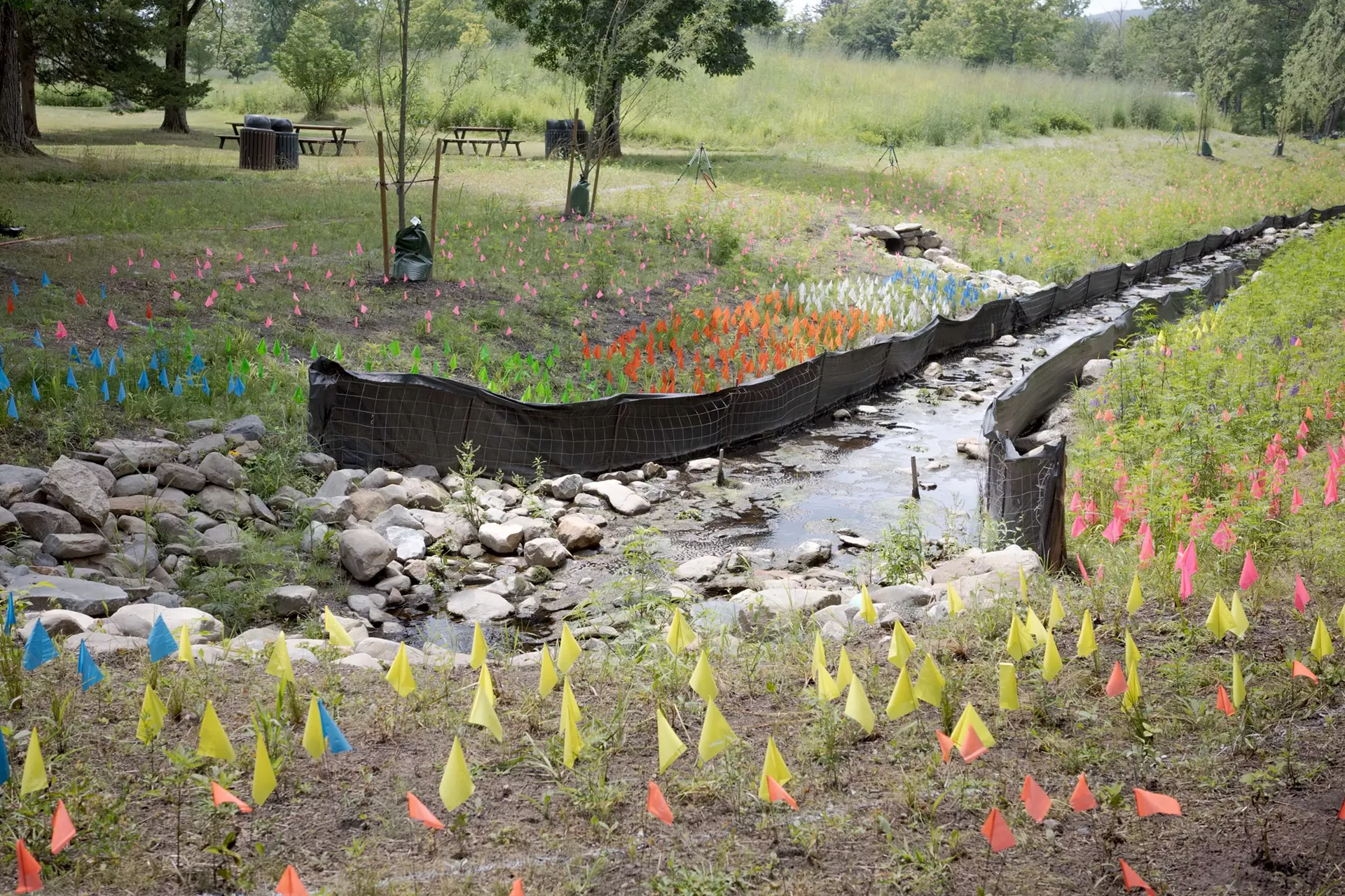 "Drainage" by Nicholas Gaffney