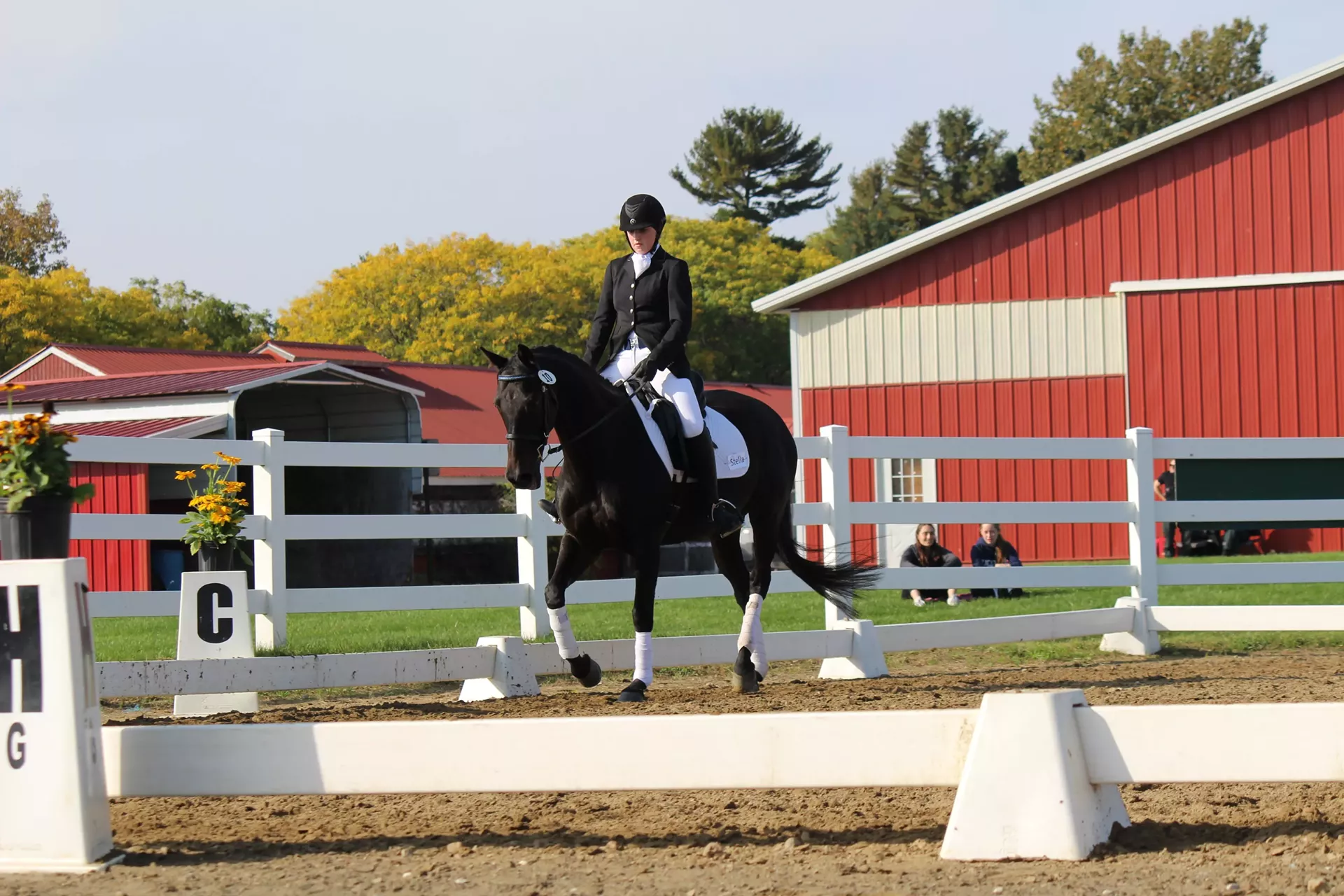 uvmbored_dressage_show_photo.webp